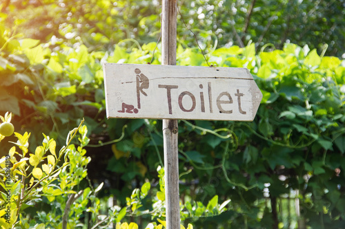 wooden sign Toilet with nature background.