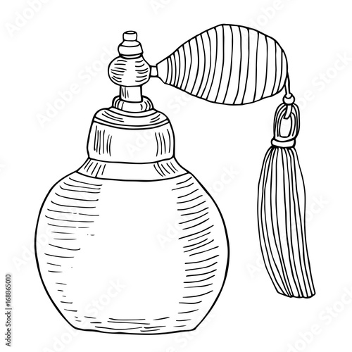 Vintage perfume bottle. Artistic line art sketch with strokes. Vector hand drawn illustration