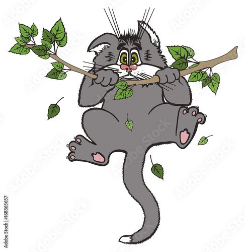 Cat frightened and agitated hanging on a branch