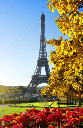 Flower and Eiffel Tower in autumn