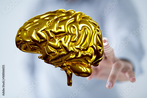 brain network