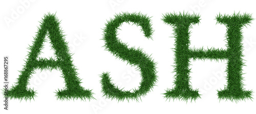 Ash - 3D rendering fresh Grass letters isolated on whhite background.
