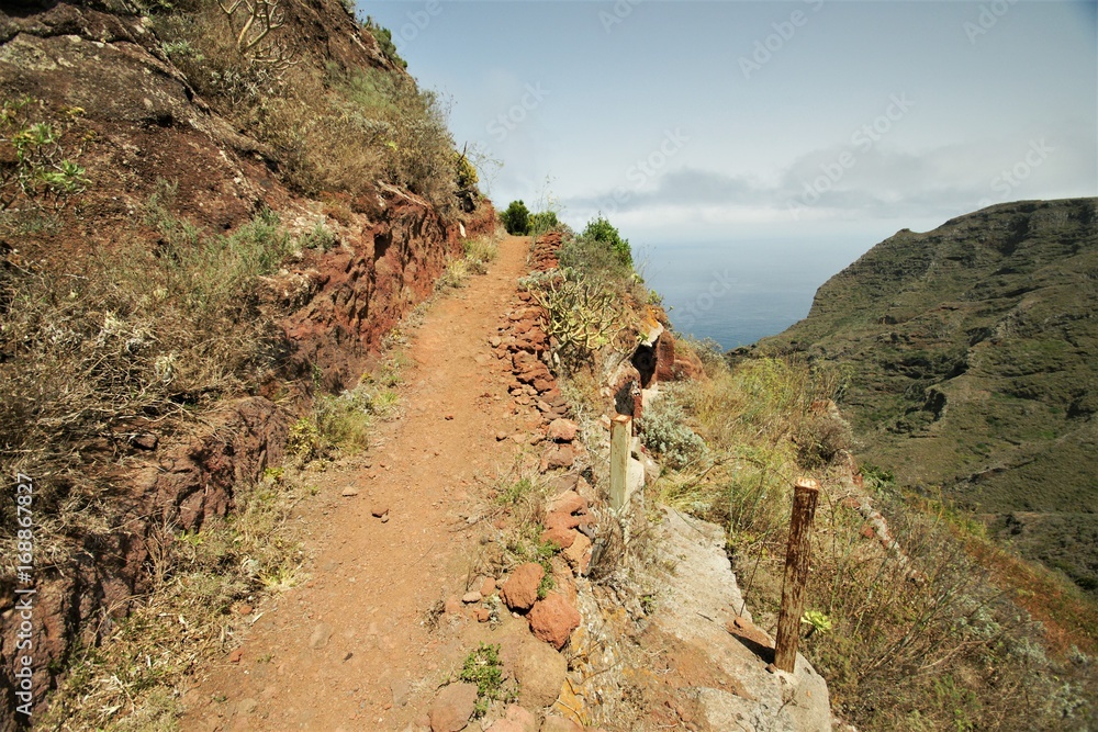 Obraz premium path in tenerife