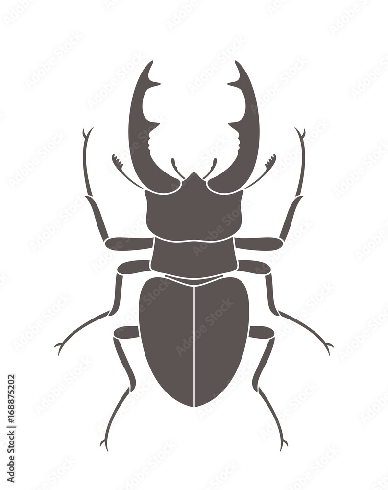 Fototapeta premium Beetle deer. Hercules beetle