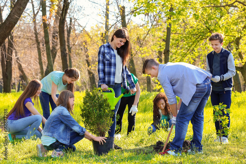 Group of young volunteers i...
