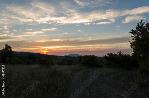 summer blue glazing sky at dawn in nature  © pellephoto