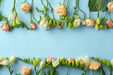Composition of beautiful roses and freesia flowers on blue background