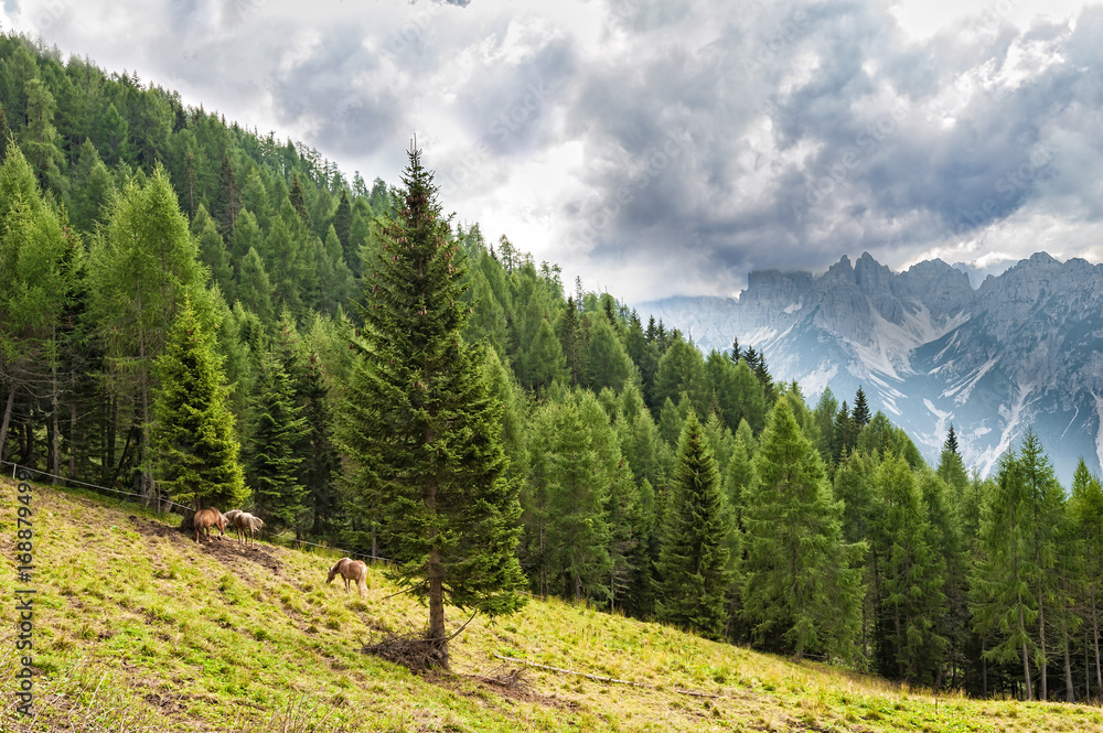 Fototapeta premium Mountains landscape with horses.