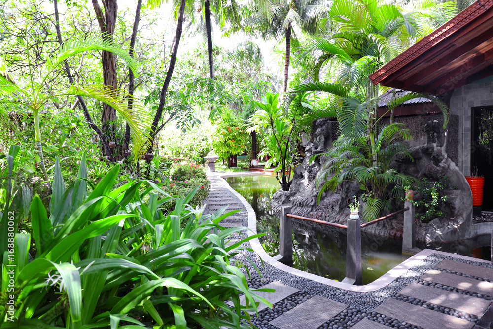 Beautiful oriental park with tropical plants Beautiful oriental park with tropical plants