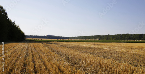 Straw on the fields photo