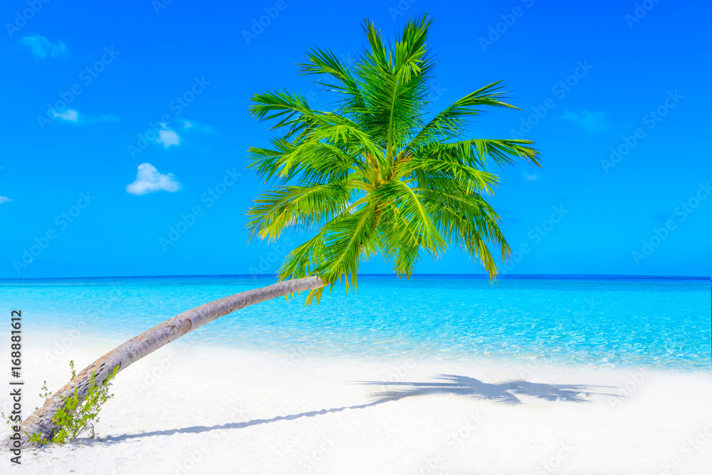 Fototapeta Dreamscape Escape On Maldives