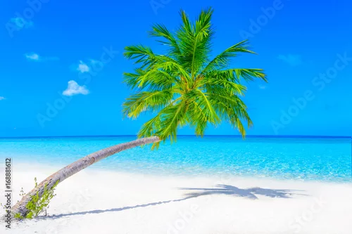 Obraz Dreamscape Escape On Maldives