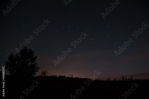 The constellation of the great bear