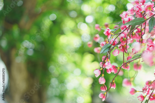 Fake flowers of beautiful cherry blossom sakura with green bokeh background.