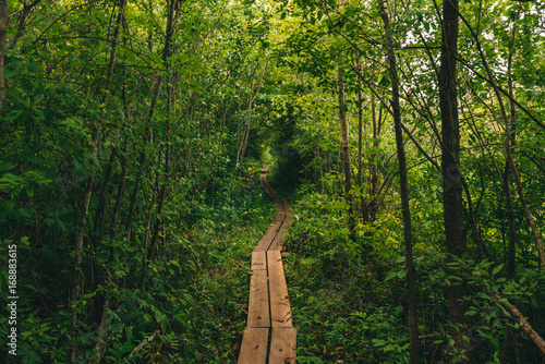 appalachian trail