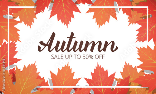 Autumn sale. Banner with maple leaves frame and trendy Autumn brush lettering. Seasonal Fall sale card