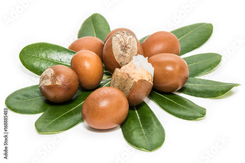Shea nuts on leaves. Vitellaria Paradoxa