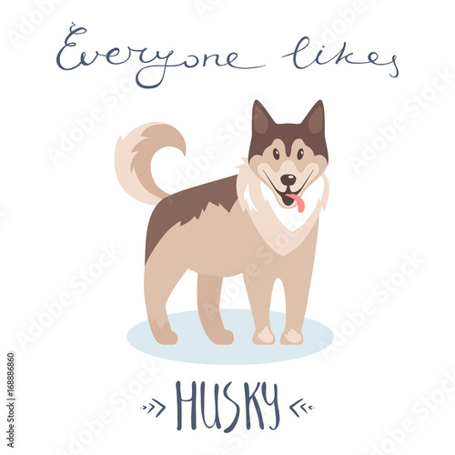 Flat vector illustration. Husky, nice friendly pet. Everyone lik