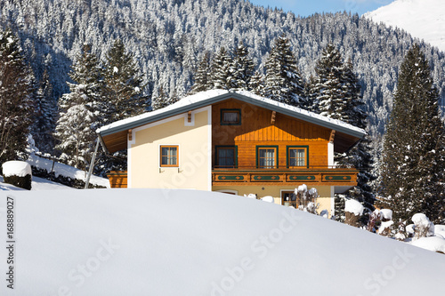 Alpine cottage in the Austrian alps © Olha Sydorenko