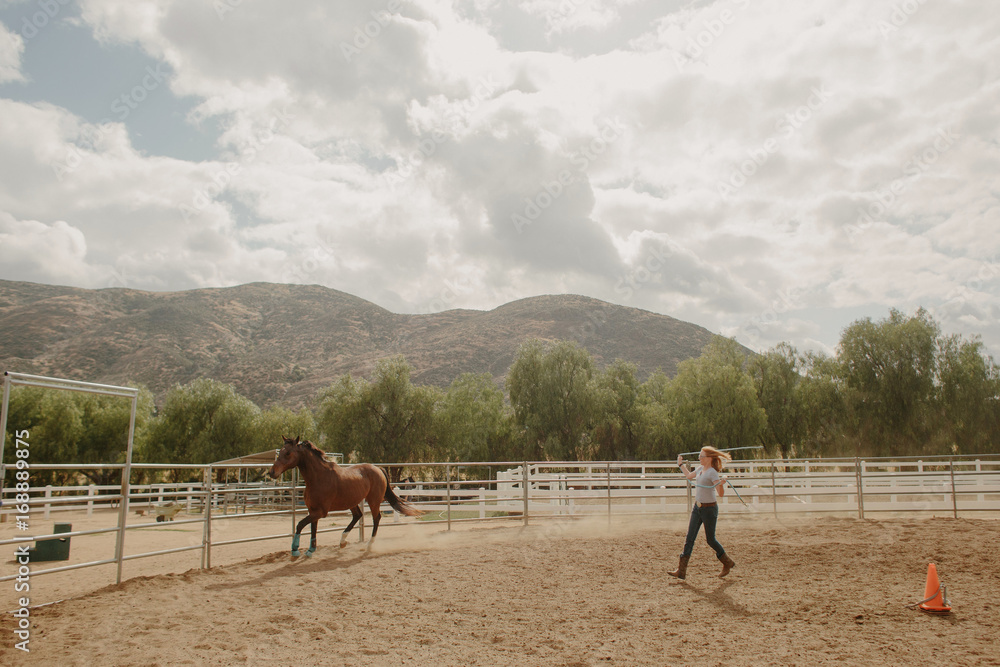 Young Girl Running Horse Around an Arena Young Girl Running Horse Around an Arena