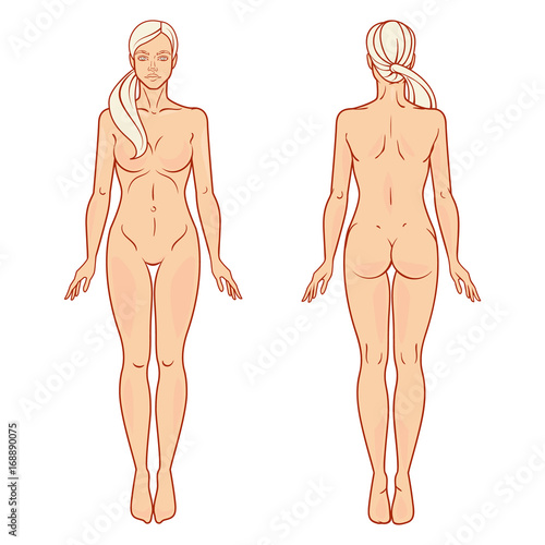 Female body front and back view template. Isolated vector image.