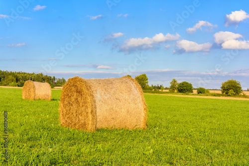 Straw bales on a green meadow at sunset