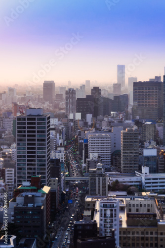Cityscape of Tokyo city, japan. Aerial skyscraper view of office building and downtown of tokyo with sunset/ sun rise background. © lukyeee_nuttawut