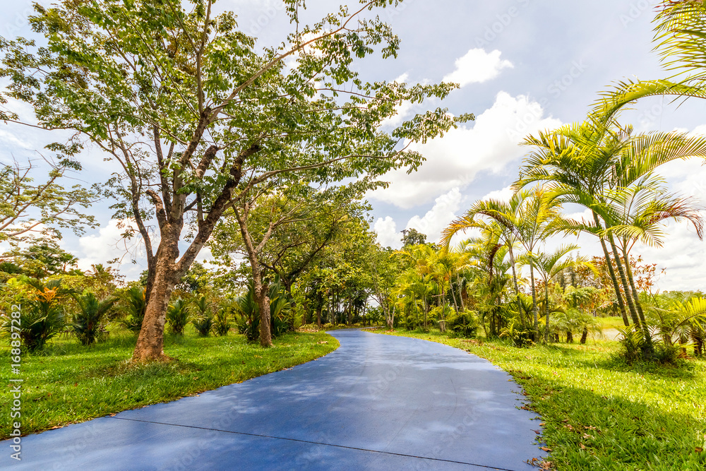 Walkway in park. Landscape with jogging track at green park