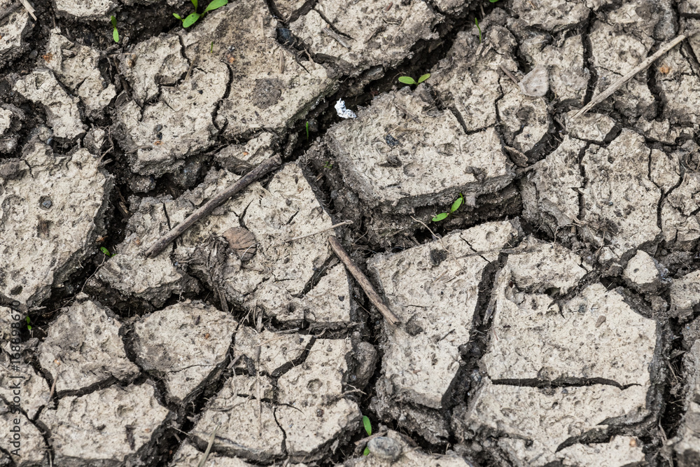 Fototapeta premium Trockener Boden