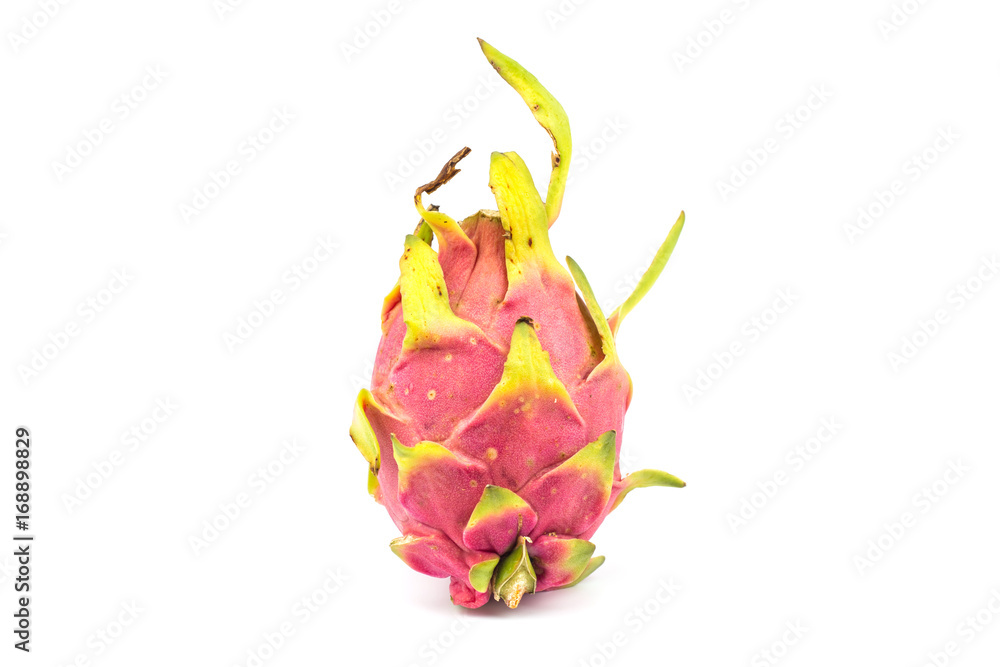 Dragon fruit or Pitaya on Isolated White background Dragon fruit or Pitaya on Isolated White background