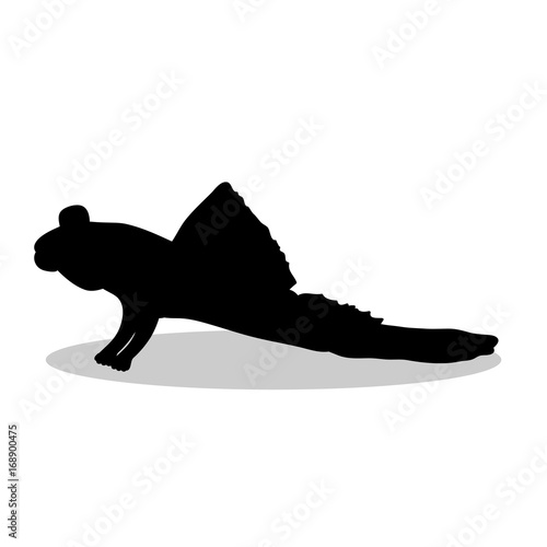 Mudskipper fish black silhouette aquatic animal