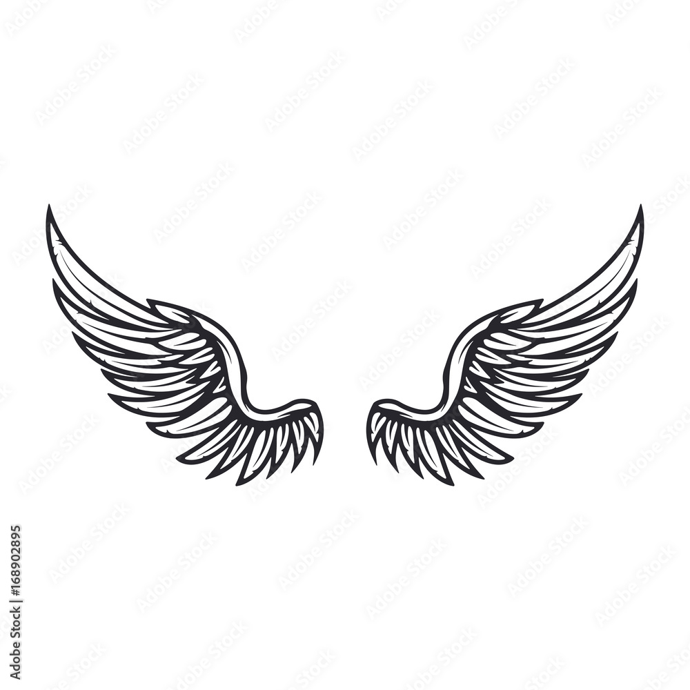 Wings isolated on white background. Design elements for logo, label, emblem, sign. Vector illustration Wings isolated on white background. Design elements for logo, label, emblem, sign. Vector illustration