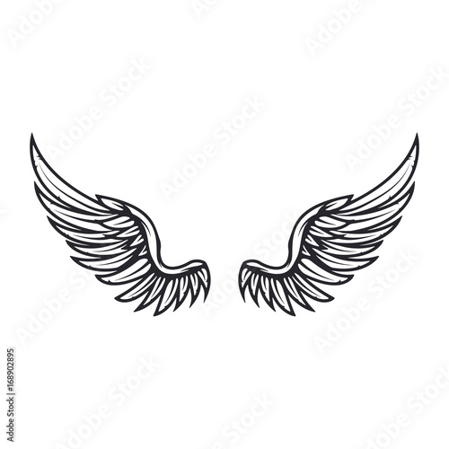 Wings isolated on white background. Design elements for logo, label, emblem, sign. Vector illustration