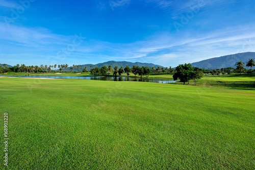 Green grass area in golf courses in bright day.
