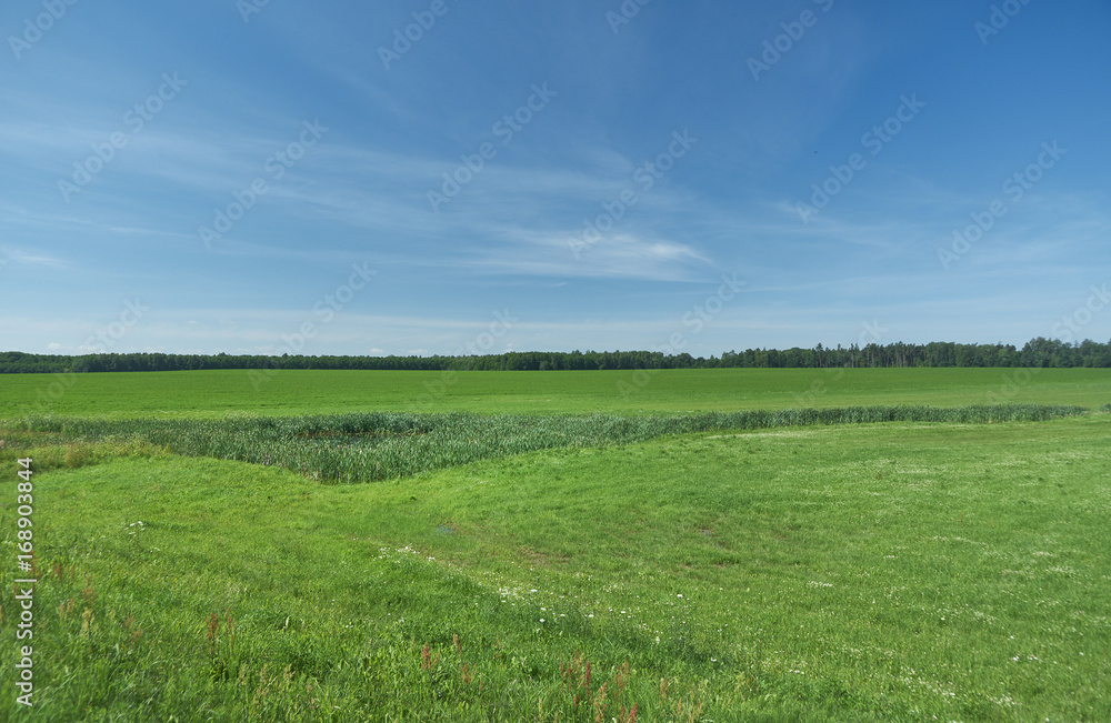 belorussian landscape blue cloudy sky