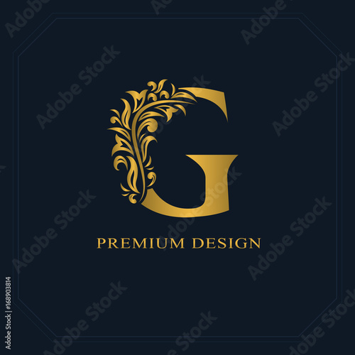 Gold Elegant letter G. Graceful style. Calligraphic beautiful logo. Vintage drawn emblem for book design, brand name, business card, Restaurant, Boutique, Hotel. Vector illustration