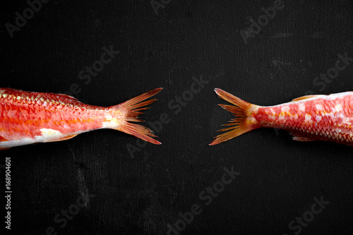 Red Mullet / Goatfish photo