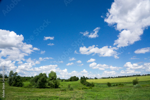 Blue sky over meadow 