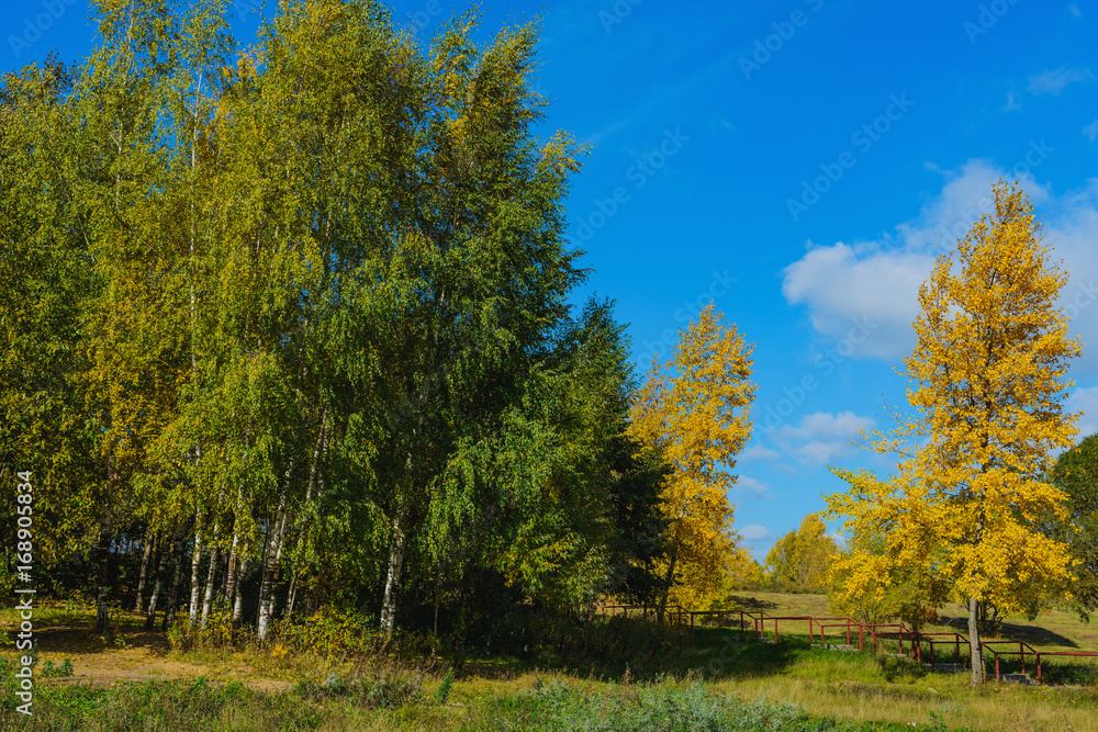 Park- autumn background Park- autumn background