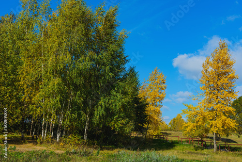 Park- autumn background