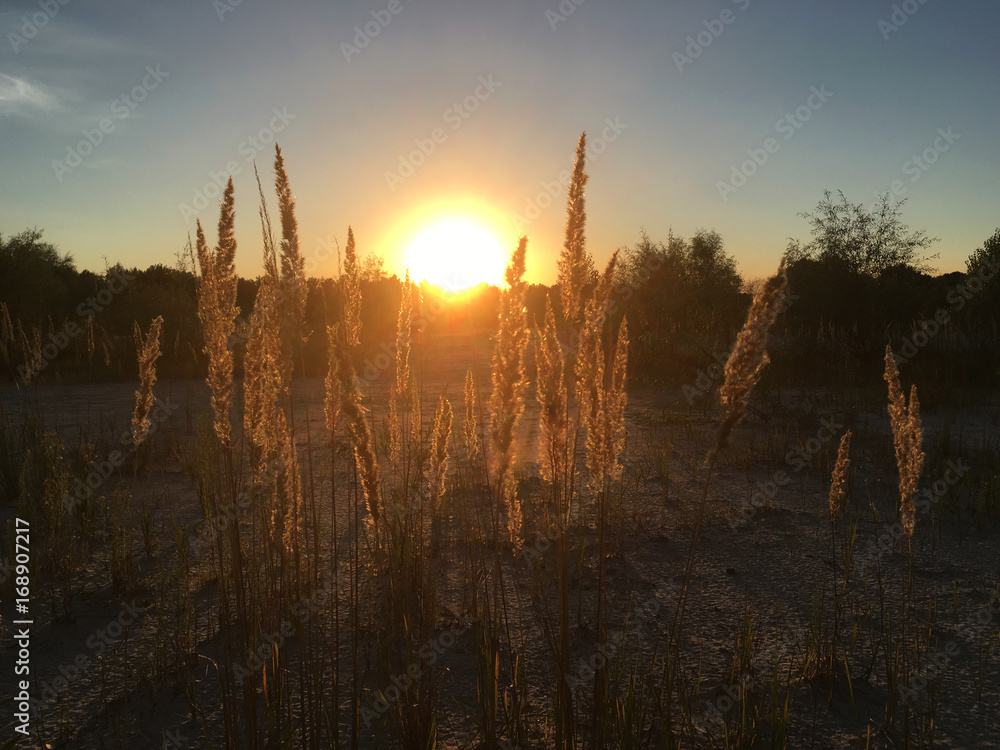 Obraz premium Summer sunset