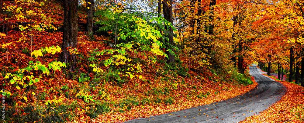 Plakat Jesień krajobraz z jaskrawymi kolorowymi pomarańczowymi i czerwonymi drzewami i liśćmi wzdłuż wijącej wiejskiej drogi. Format banera