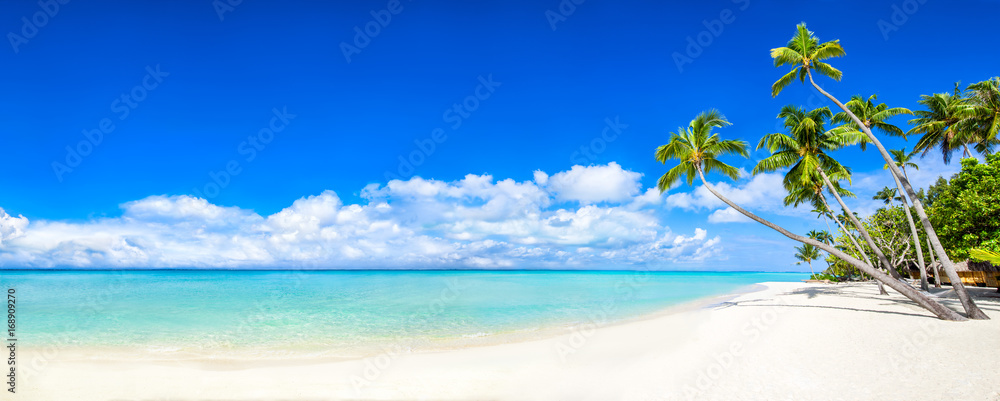 Fototapeta premium Plażowa panorama z morzem i drzewkami palmowymi