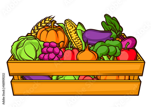 Harvest illustration of box with seasonal fruits and vegetables