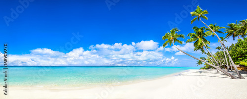Strand Panorama mit Meer und Palmen © eyetronic