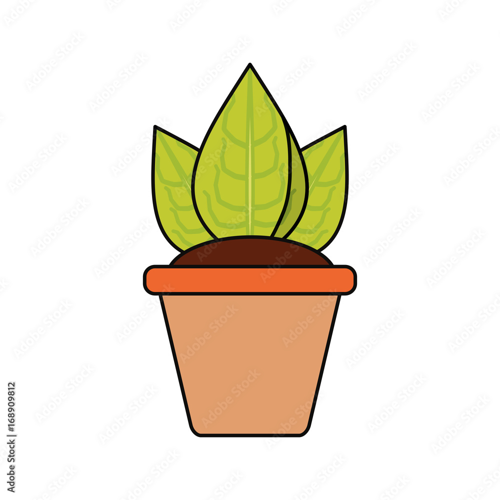 Plant in pot icon vector illustration graphic design Plant in pot icon vector illustration graphic design