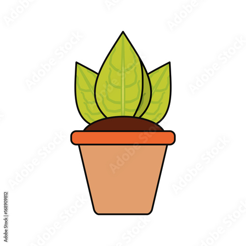 Plant in pot icon vector illustration graphic design