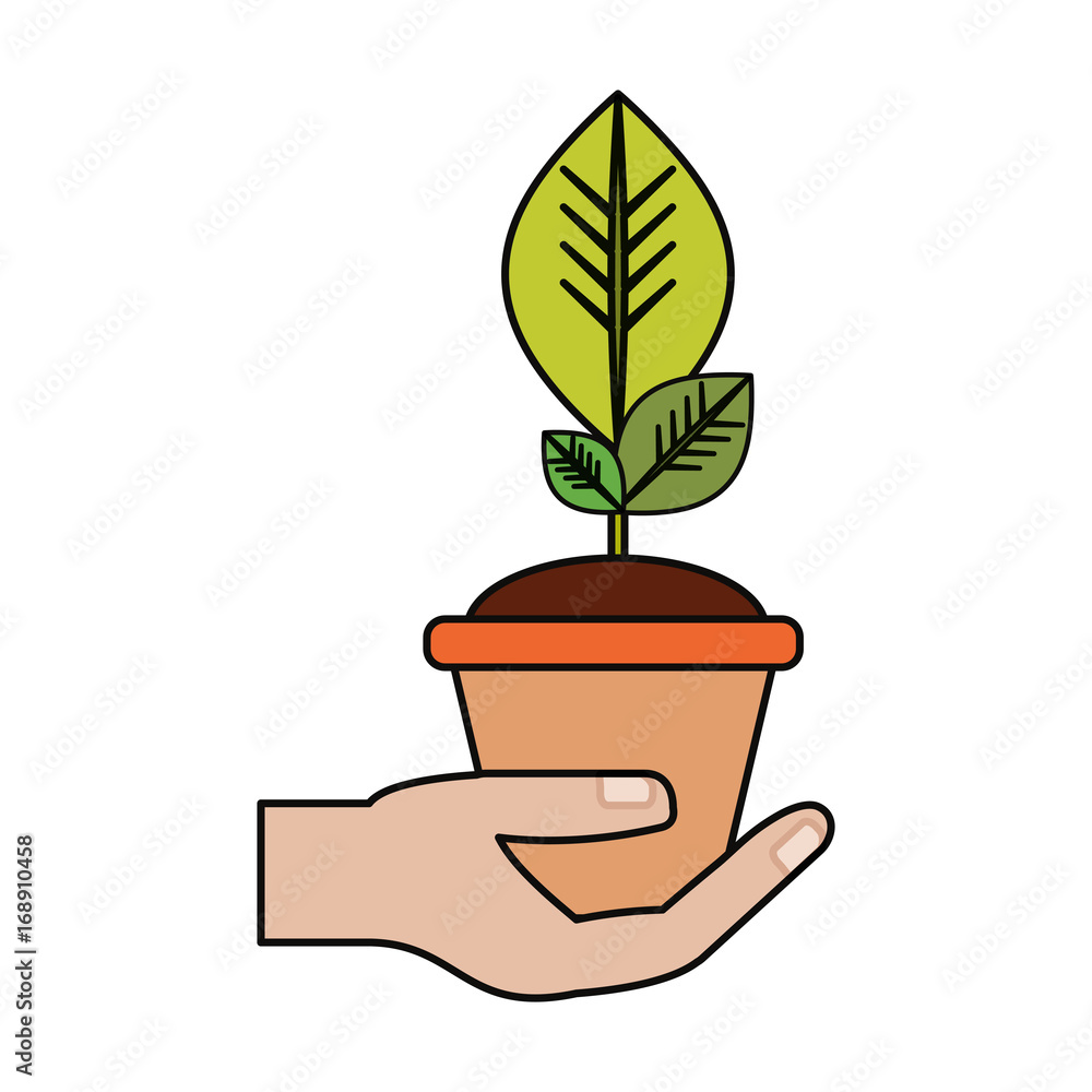 Plant in pot icon vector illustration graphic design Plant in pot icon vector illustration graphic design