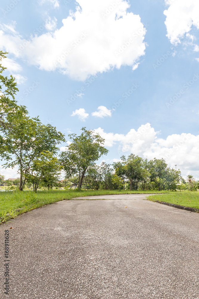 Walkway in park. Landscape with jogging track at green park Walkway in park. Landscape with jogging track at green park
