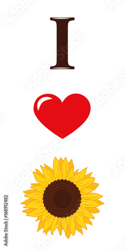 i love sun flowers